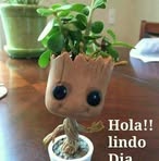 Radames Mercado - Facebook