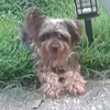 Radames Rivera - @radames.rivera42 - TikTok