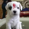 Radha Sinha - @saishani0411 - TikTok
