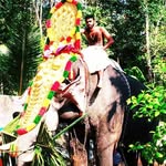 Radhakrishnan Pillai - @radhakrishnan.pillai.3114935 - Instagram