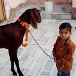 Radik Khan - @radikkhan21 - Instagram