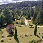 Radomir Miso Kovacevic - Facebook