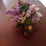 radovan kovacevic - @radovankunic - Instagram