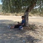 Radu Ionescu - @radu.ionescu988 - Instagram