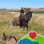 Radu Ionescu - @raduionescu55 - Instagram