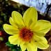 Radu Ionescu - Facebook