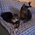 Rae Adams - Facebook