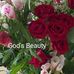 Rae Barnes - Facebook