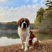 Rae Allen Bartlett - Facebook