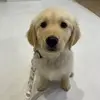 Oakley Rae Davidson - @the.oakley.rae.davidson - TikTok