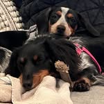 Dolly Pawton & Miley Rae Dotson - @dollypawtonandmileyrae - Instagram