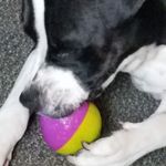 Rae Dougherty - @dougherty.rae - Instagram