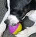 Rae Dougherty - Facebook