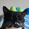 Raeanne Earl - @raeanne.earl - TikTok