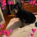 Rae Fleming - Facebook