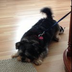 Harlie Rae Floyd - @harlieraefloyd - Instagram