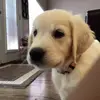Rae_Freeman - @rae_freeman - TikTok