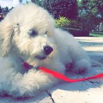 Charlie friedman - @charlieraefriedman - Instagram