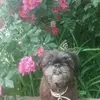 Rae Fuller560 - @raefuller0 - TikTok