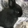 Raelyn Fuller - @raelyn.fuller - TikTok