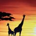 Rachel Louise Gleason - Facebook