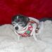 Raeann Holcomb - Facebook