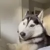 Rae Howell(s) - @rae.howells594 - TikTok