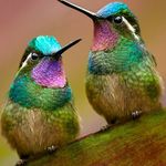 Raejuddian Ali - @raejuddian - Instagram