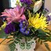 Rachel Lehmann - Facebook