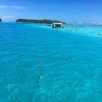 Chelsea Rae Maddox - @chelseaclothes4sale - Instagram