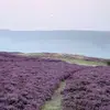 heatherraemckay - @heatherraemckay - TikTok