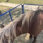 Rae McKay - Facebook