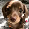 rae meadows - @rae.meadows - TikTok