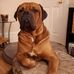 Rachel Morrison - Facebook