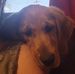 Rae Ann Pendleton - Facebook