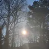 Rae - @raerayray - TikTok