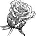 Rae Ray - Facebook