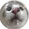 Rae - @rae.robinson__ - TikTok