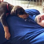Rae Schmidt - @whiskybean - Instagram