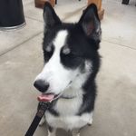 Rae Schwartz - @rachcat456 - Instagram