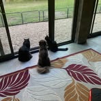 Rae Thompson - Facebook