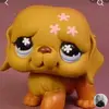 raegon thompson - @raegon.thompson - TikTok