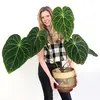 amandaraewright - @amandaraewright - TikTok