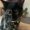 Rae - @rae.young_10 - TikTok