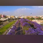 raed ghanem - @raedghanem7 - Instagram
