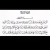 Raed Suleiman - @raedsuleiman - TikTok