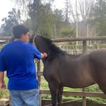 @rafael.abarca.c - Instagram