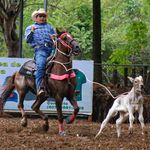 Rafael Enrique Acuña Vega - @rafael_acuna04 - Instagram