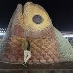 Rafael Ahedo Ruiz - @ahedoruiz - Instagram