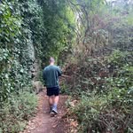 Rafael Albert - @falialbert - Instagram